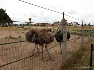 20180613 110157
