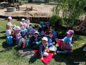 IMG 20220606 101328