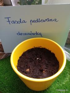 IMG 20260317 150612