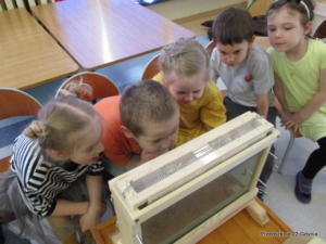 Wizyta pszczelarza w przedszkolu